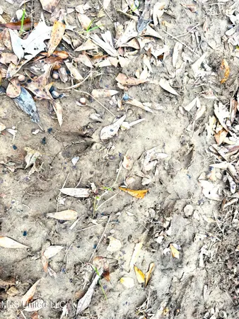 $189,000 | 4 Sidney Ellzey Road, Tylertown, MS 39667