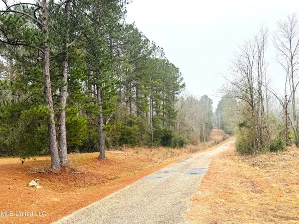 $189,000 | 4 Sidney Ellzey Road, Tylertown, MS 39667