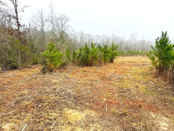 $189,000 | 4 Sidney Ellzey Road, Tylertown, MS 39667