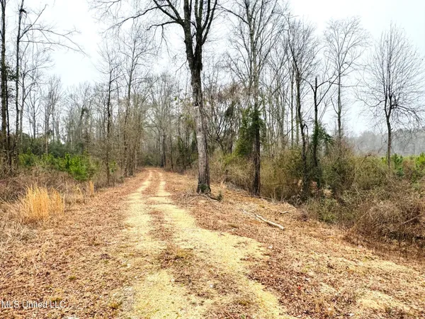 $189,000 | 4 Sidney Ellzey Road, Tylertown, MS 39667