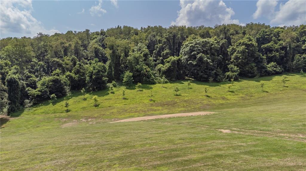 355 Ridge Road Brownsville, PA 15417 - Photo 2 of 25 Gallery Image 2