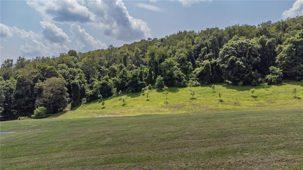 355 Ridge Road Brownsville, PA 15417 - Photo 12 of 25 Gallery Image 12