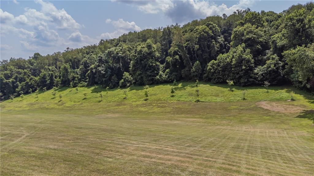 355 Ridge Road Brownsville, PA 15417 - Photo 8 of 25 Gallery Image 8