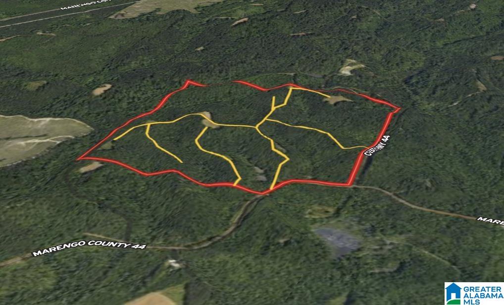 0 County Road 44 Linden, AL 36748 - Photo 47 of 48