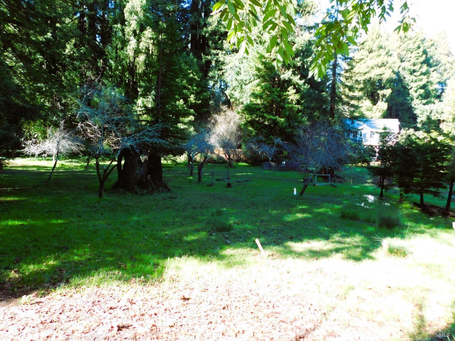 15900 Drake Road Guerneville, CA 95446 - Photo 8 of 9 a view of a park with large trees