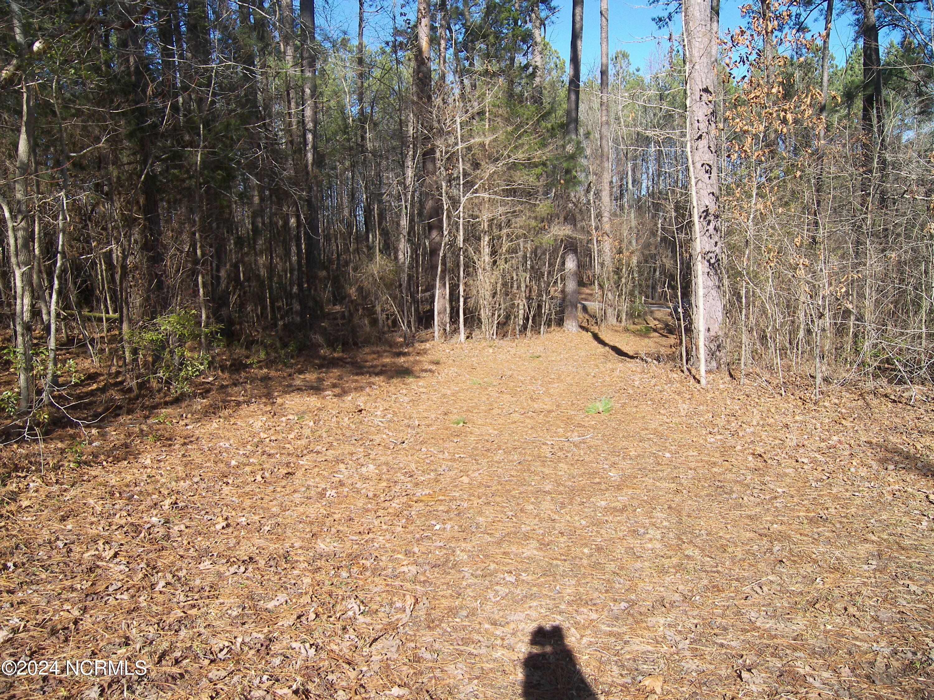 0 Seven Paths Road Spring Hope, NC 27882 - Photo 5 of 7 100_8015