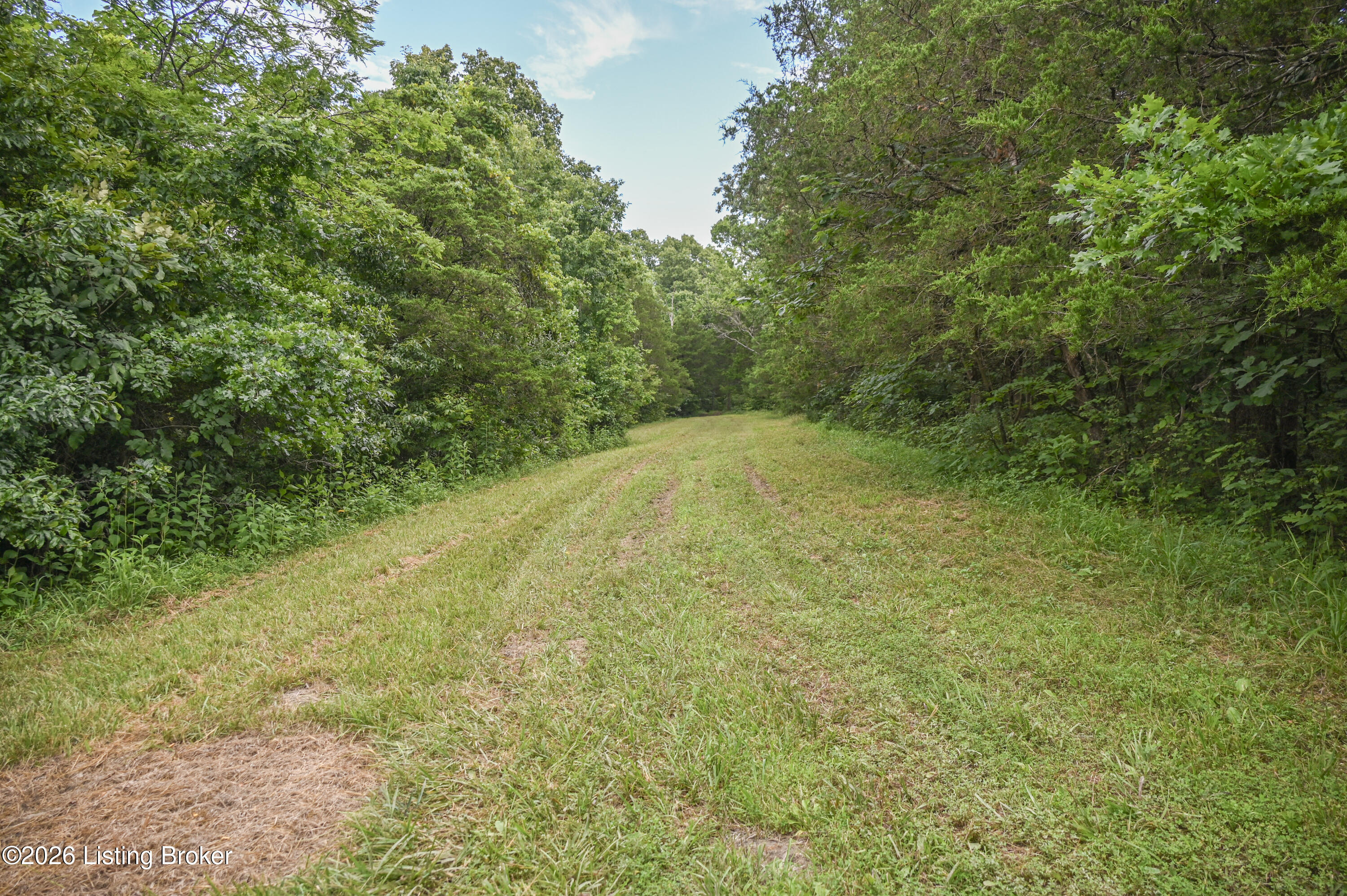 654 Gest Road Pleasureville, KY 40057 - Photo 36 of 44 25-DSC_2050