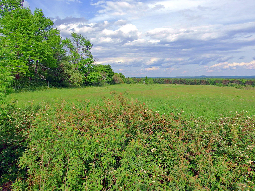 Green Green Rd Road Houlton, ME 04730 - Photo 15 of 30 hodgdon-oliver-land-6
