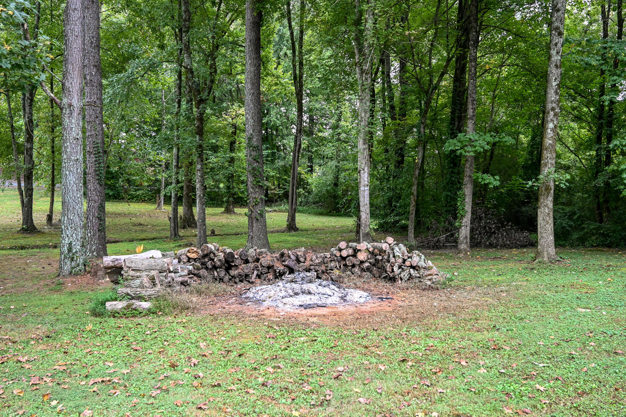 135 Chestuee Road Northeast Cleveland, TN 37323 - Photo 11 of 37 DSC_4526