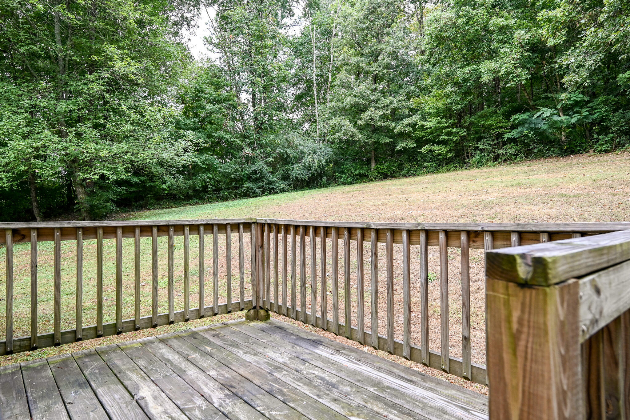 135 Chestuee Road Northeast Cleveland, TN 37323 - Photo 31 of 37 DSC_4609