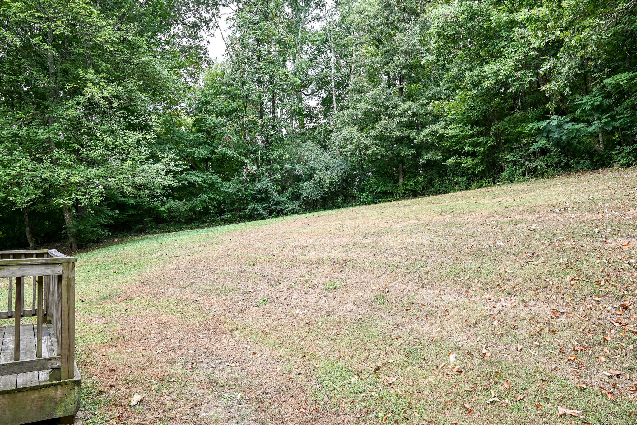 135 Chestuee Road Northeast Cleveland, TN 37323 - Photo 33 of 37 DSC_4612