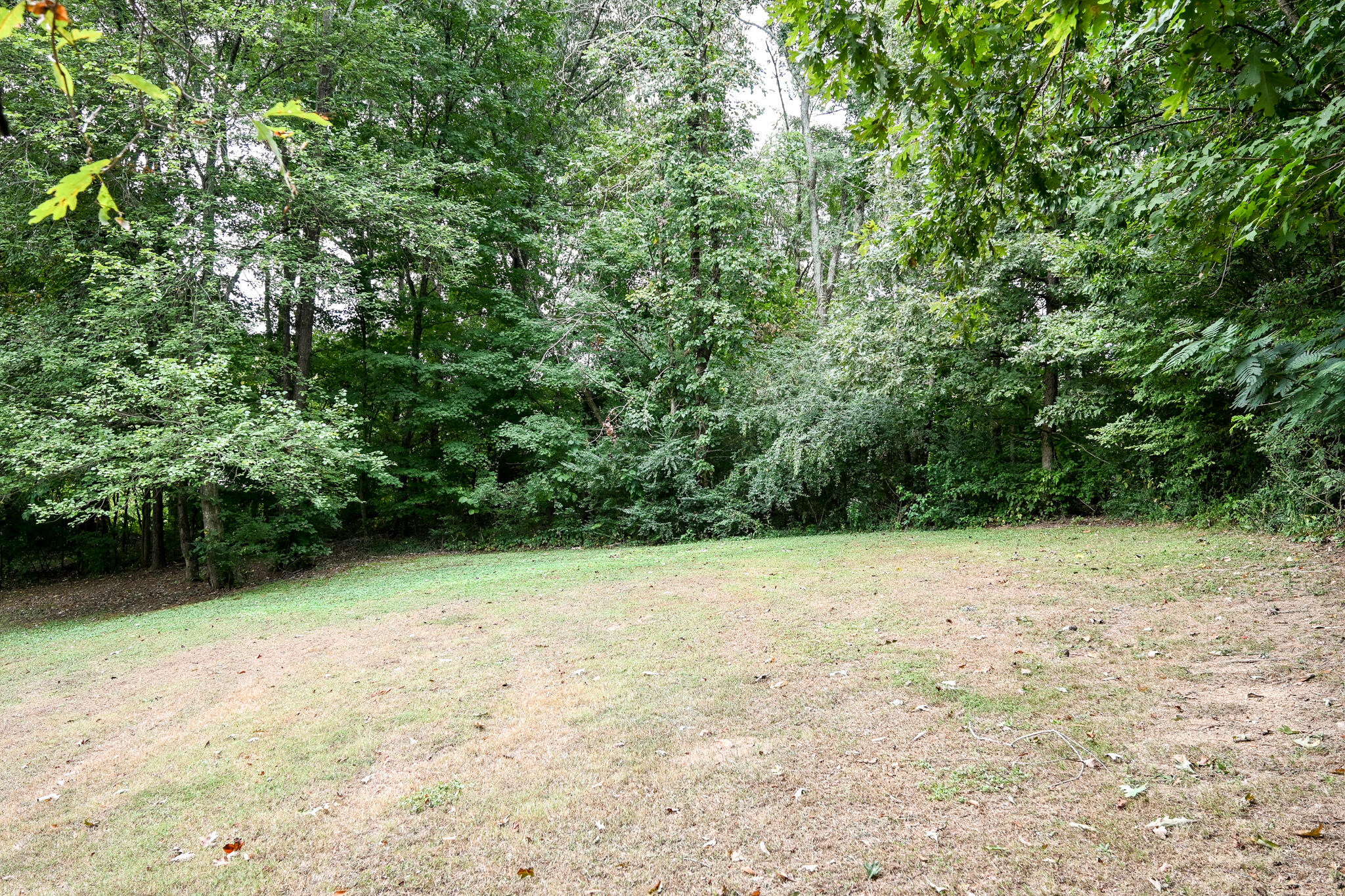 135 Chestuee Road Northeast Cleveland, TN 37323 - Photo 34 of 37 DSC_4614
