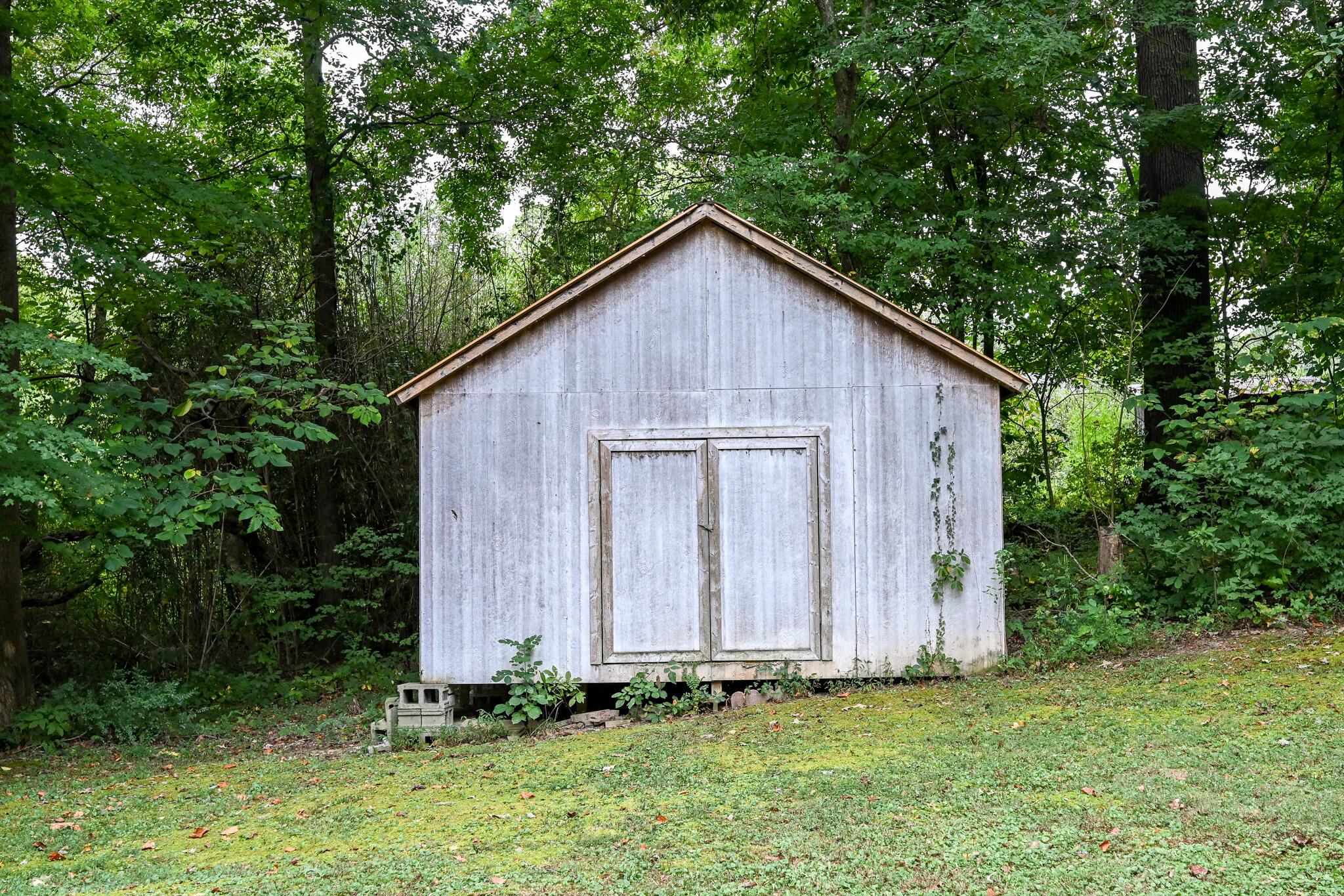135 Chestuee Road Northeast Cleveland, TN 37323 - Photo 10 of 37 DSC_4527
