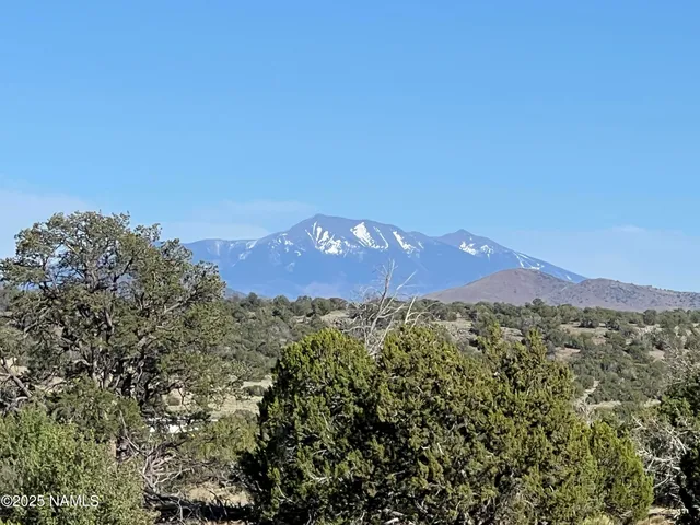 a view of a city with a mountain in the background