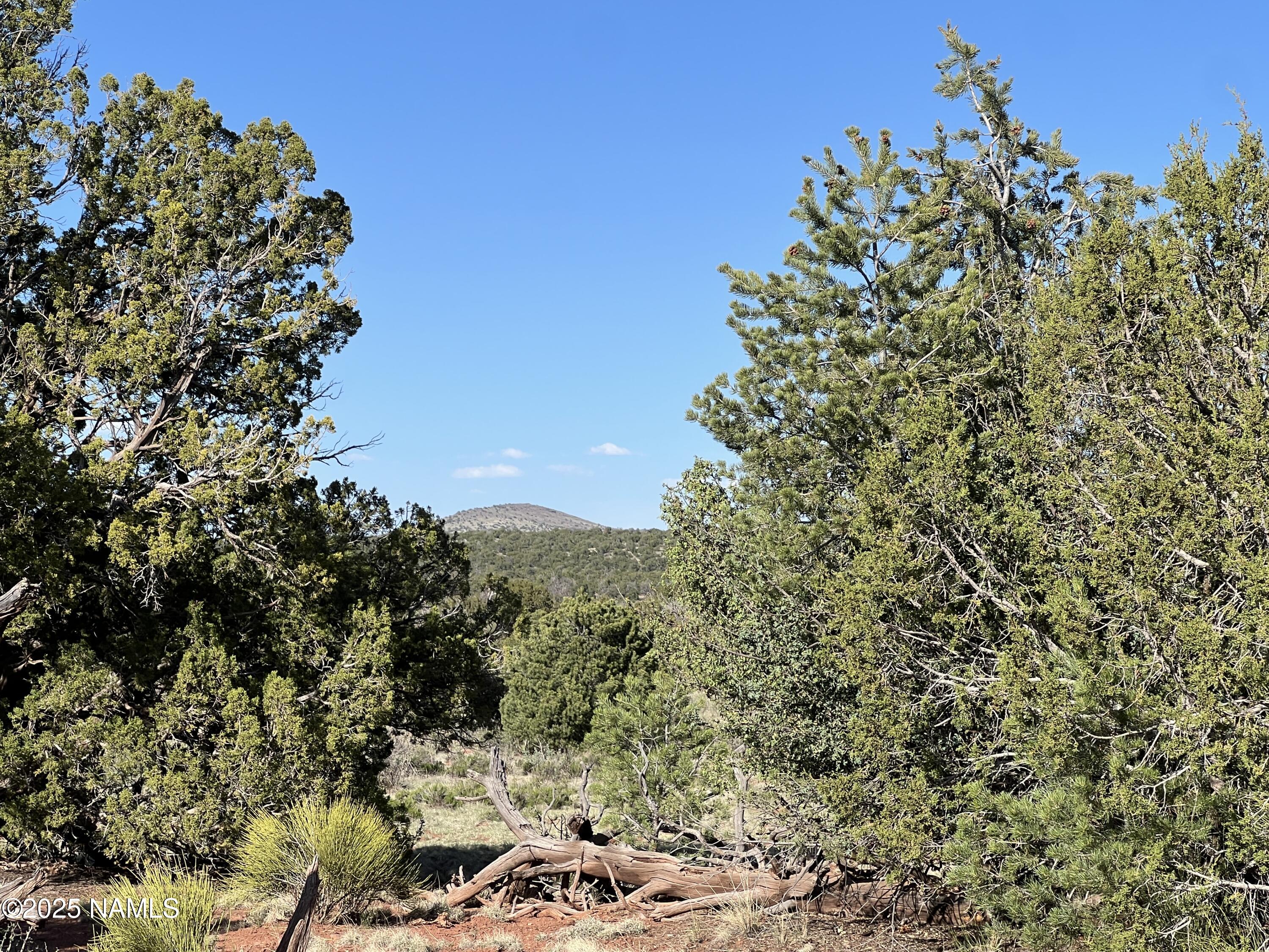 8801 South Rim Ranch Road Williams, AZ 86046 - Photo 5 of 10