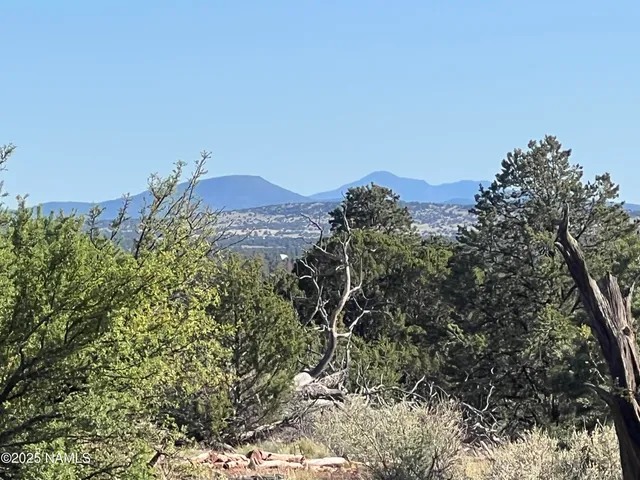 a view of a city with a mountain in the background