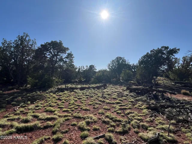 a view of a city and mountains
