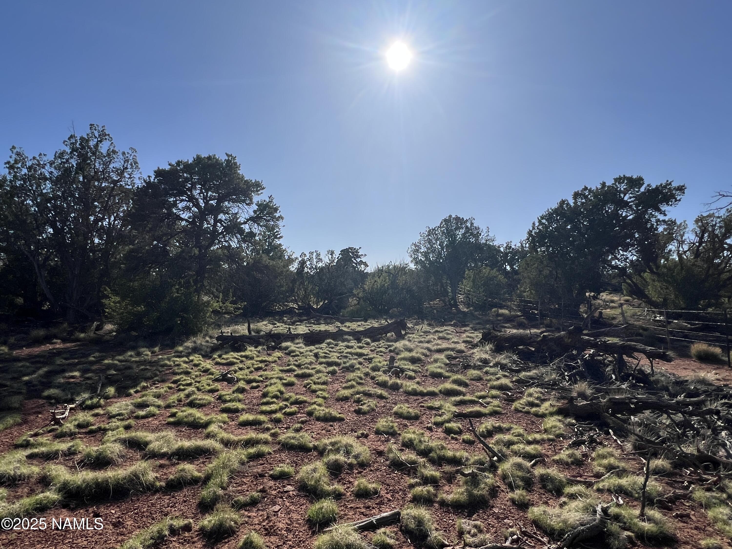 8801 South Rim Ranch Road Williams, AZ 86046 - Photo 7 of 10