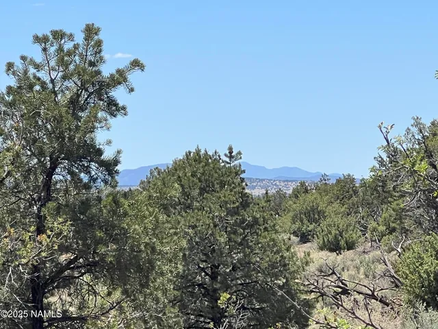 $59,900 | 8801 South Rim Ranch Road, Williams, AZ 86046