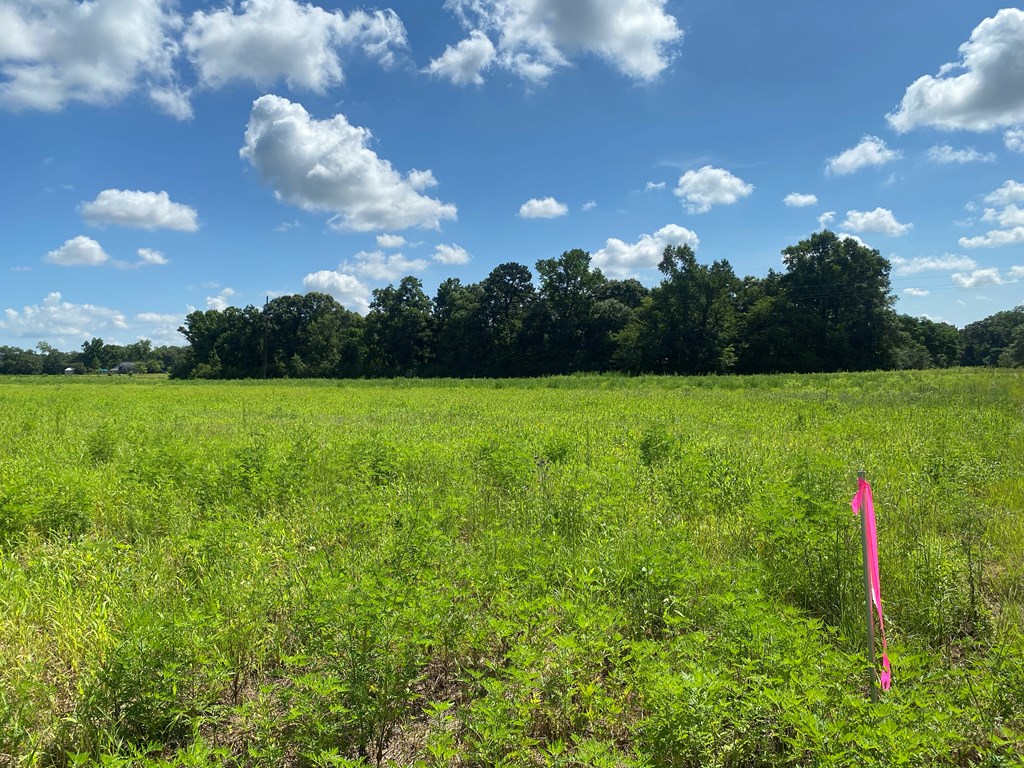 16-ac 16-ac National Road Dothan, AL 36301 - Photo 26 of 45