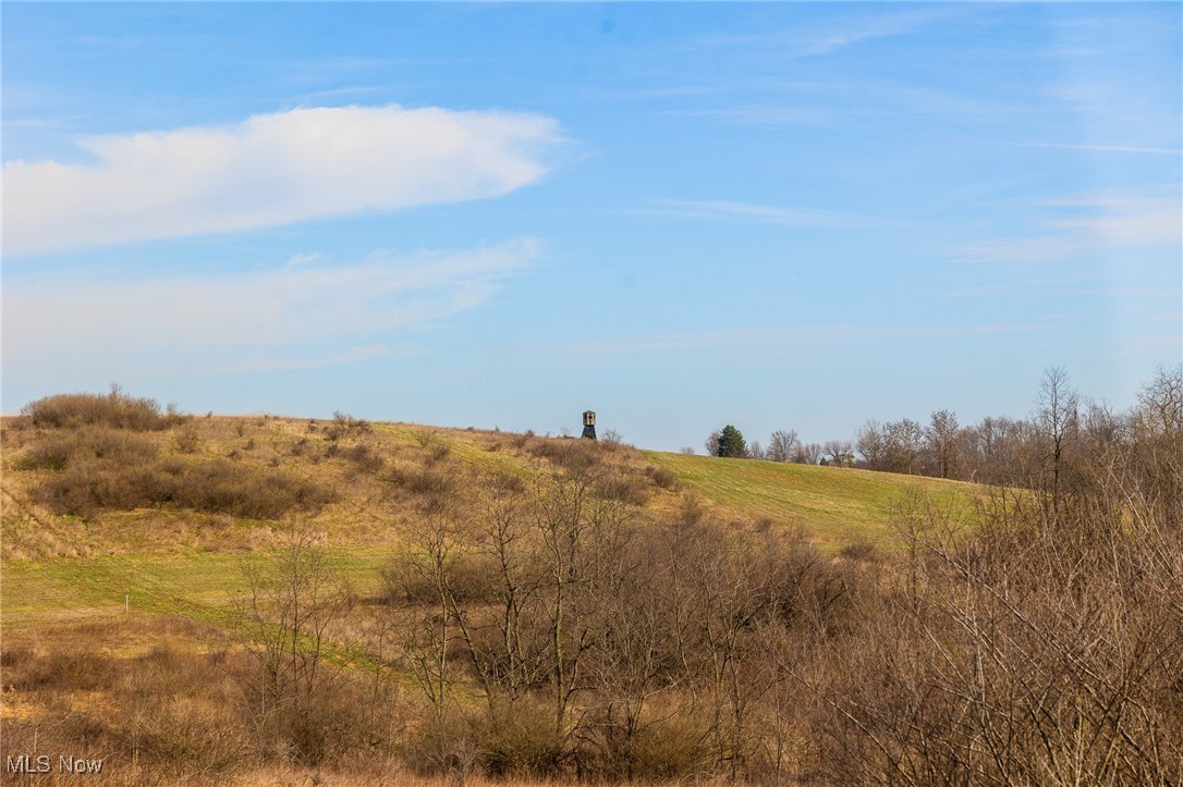 106 Township Road Rayland, OH 43943 - Photo 14 of 48 View of local wilderness featuring a rural view