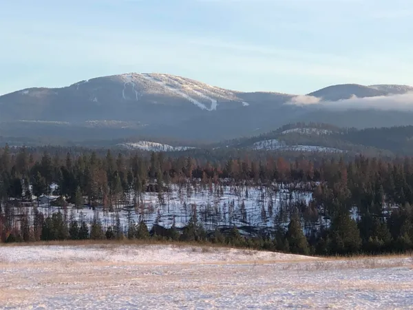 $1,489,000 | 41900 North Darknell Road, Elk, WA 99009