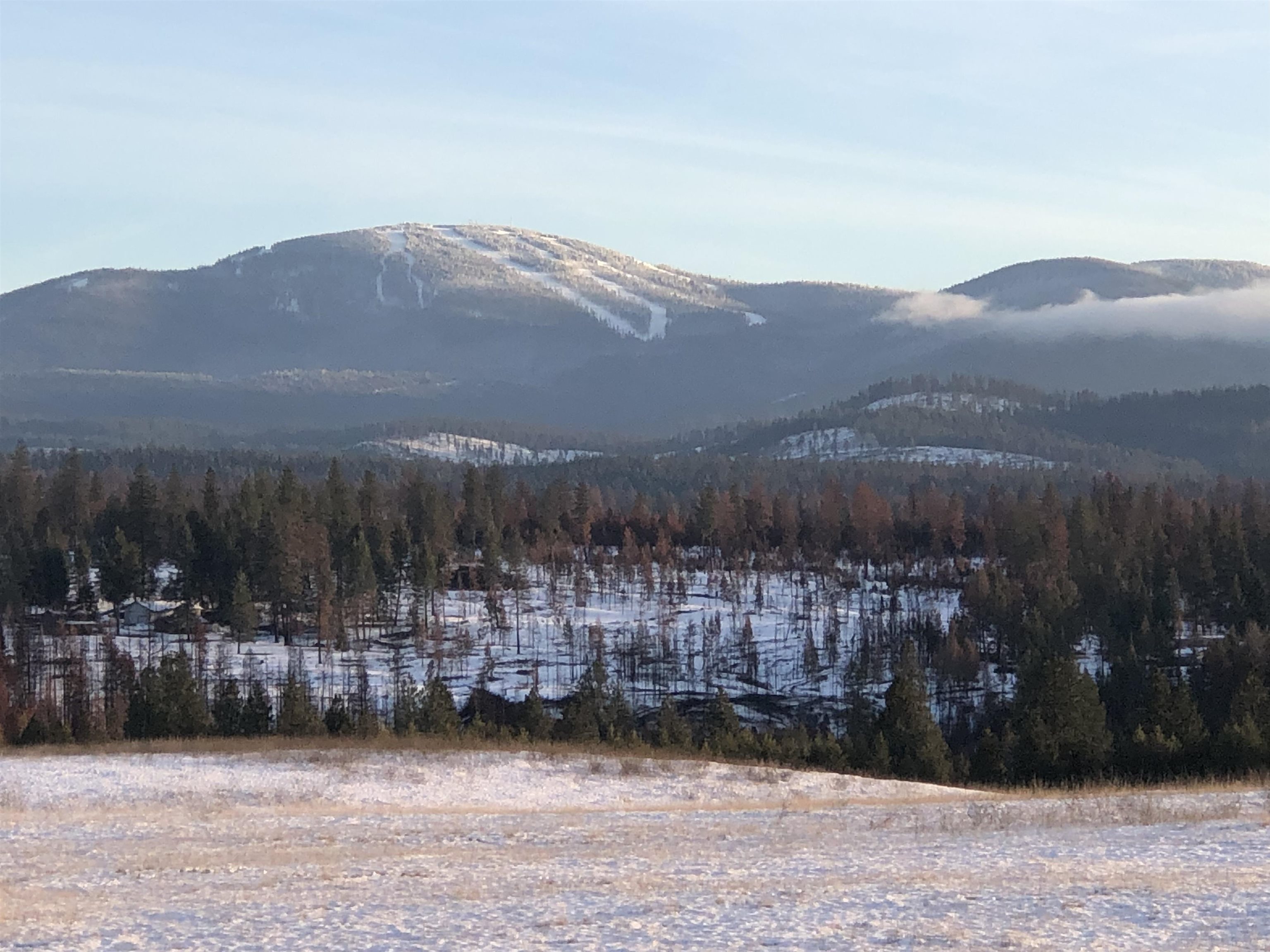 41900 North Darknell Road Elk, WA 99009 - Photo 1 of 33 Gallery Image 1