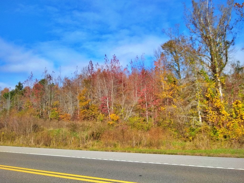0 State Highway Decatur, TN 37322 - Photo 4 of 9 Gallery Image 4
