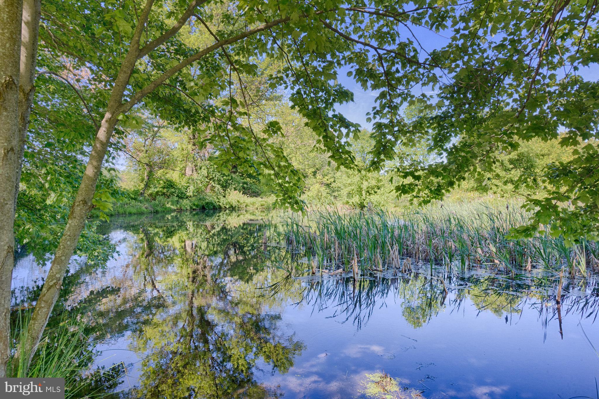 212 Calvary Road Churchville, MD 21028 - Photo 30 of 30 Shared Pond At Back Of Property