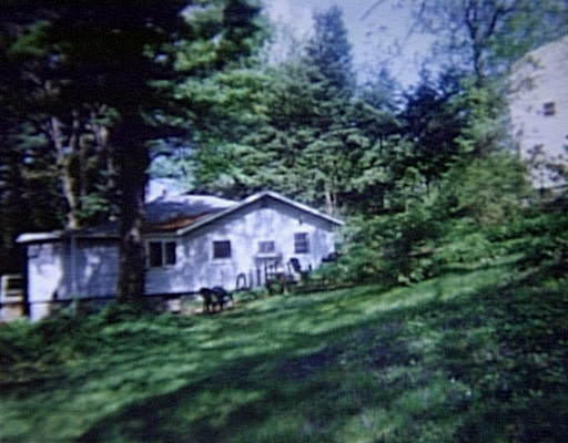 a view of a house with a big yard and large trees