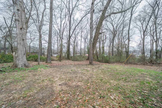 a house that has a tree in front of it