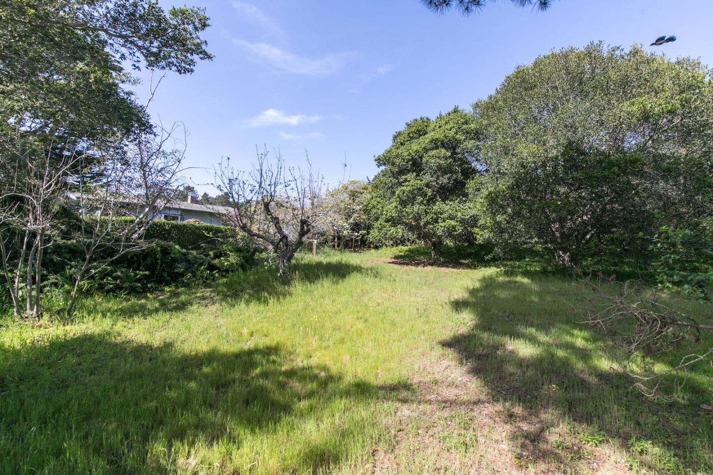 70 Rancho Road Watsonville, CA 95076 - Photo 36 of 51 Gallery Image 36