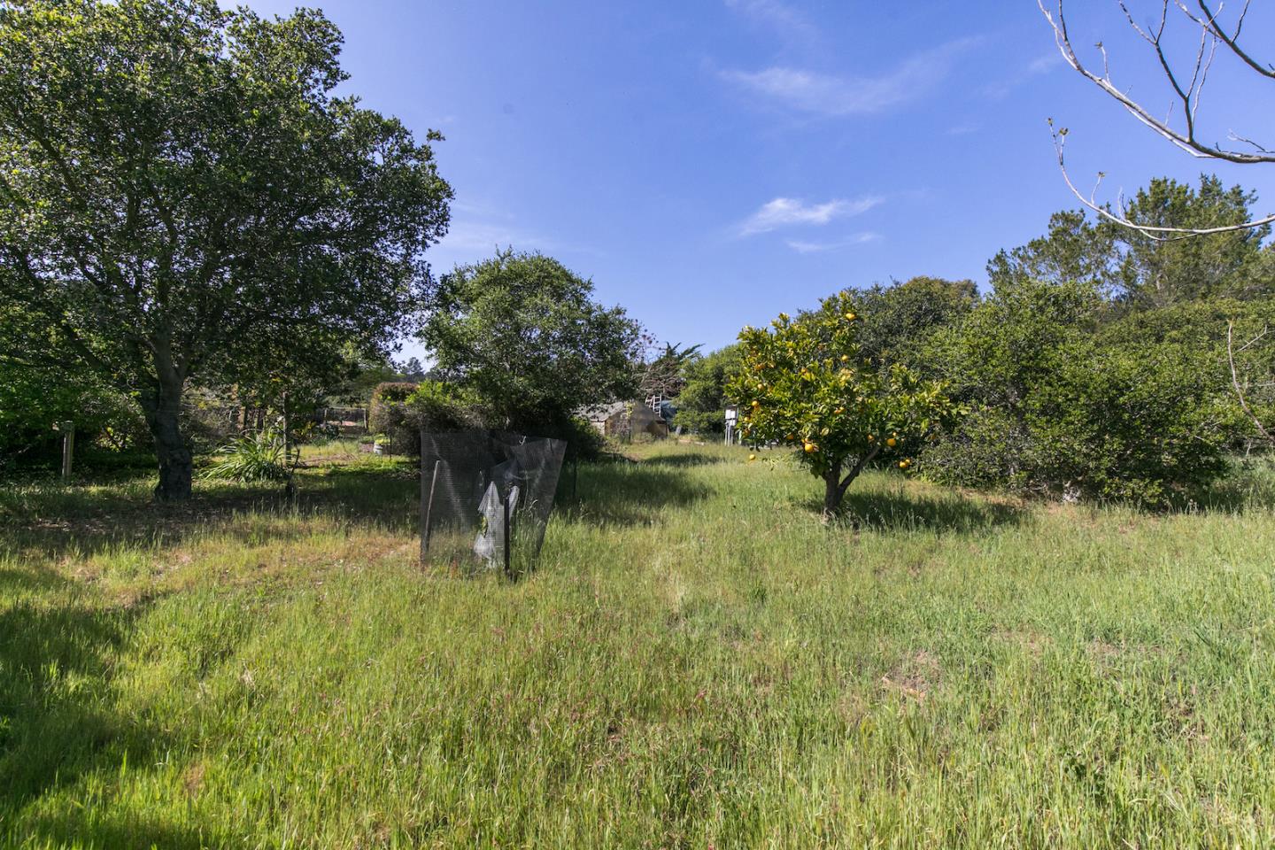 70 Rancho Road Watsonville, CA 95076 - Photo 37 of 51 Gallery Image 37