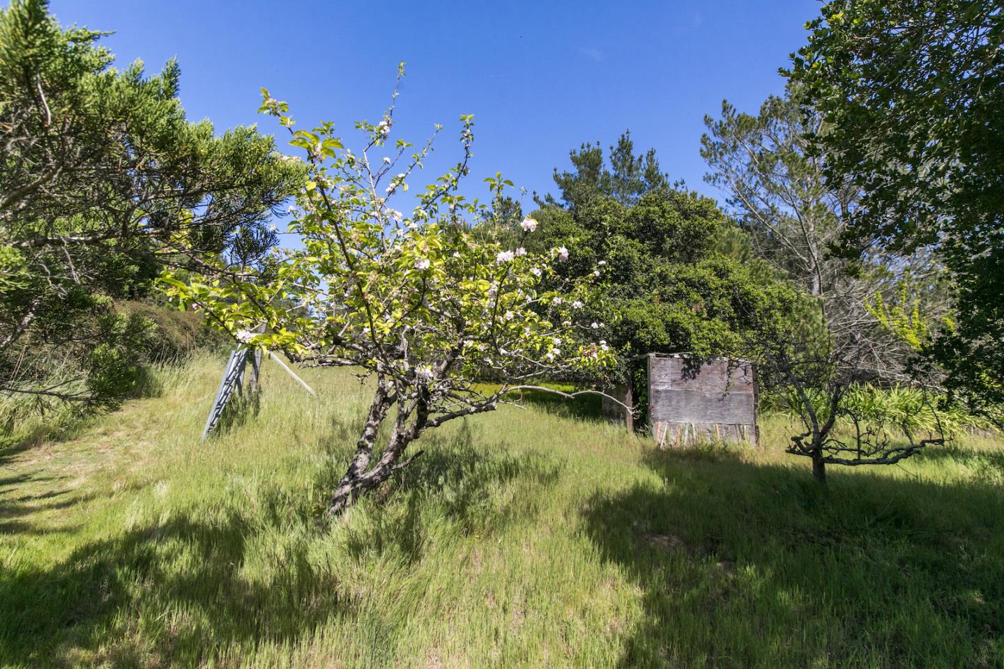 70 Rancho Road Watsonville, CA 95076 - Photo 40 of 51 Gallery Image 40