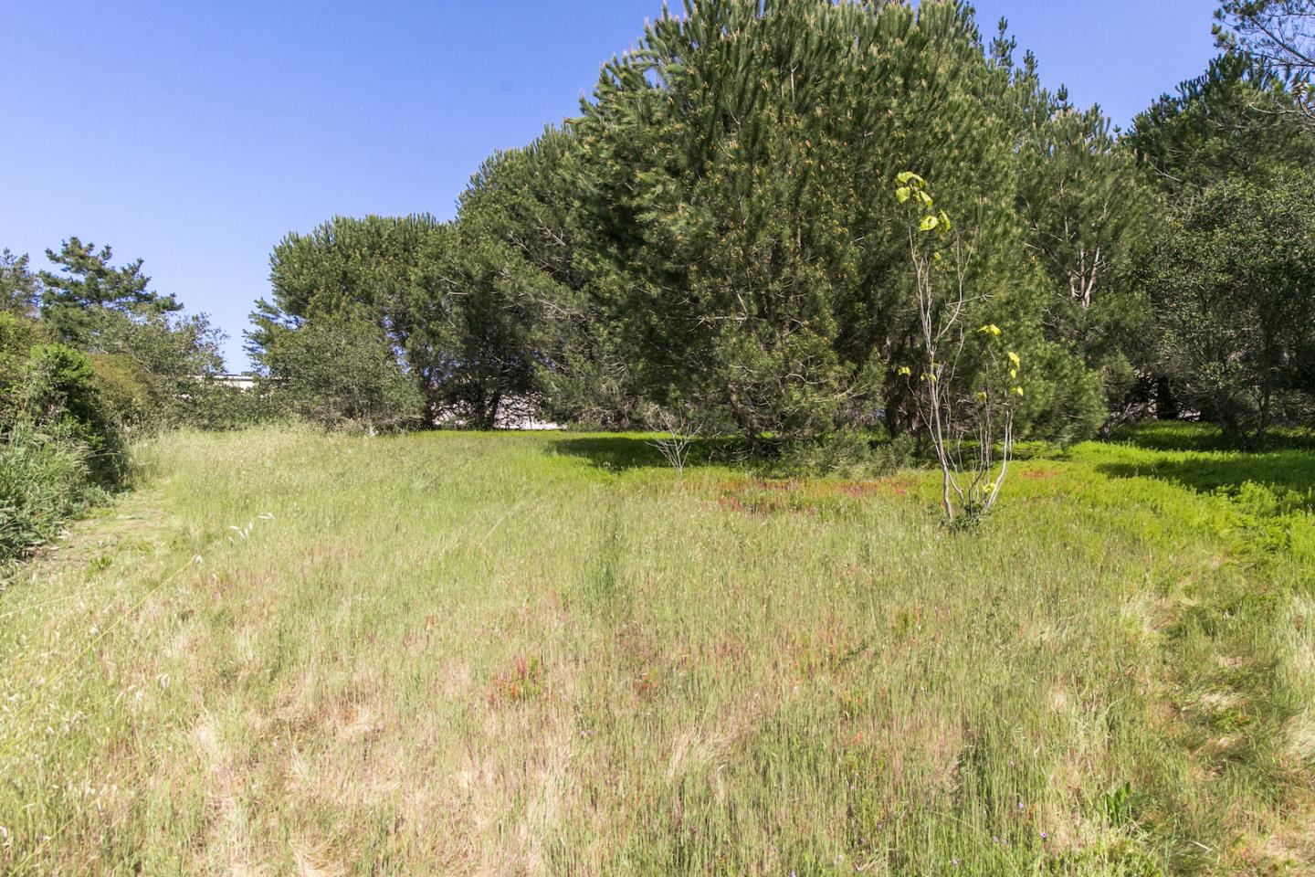 70 Rancho Road Watsonville, CA 95076 - Photo 41 of 51 Gallery Image 41