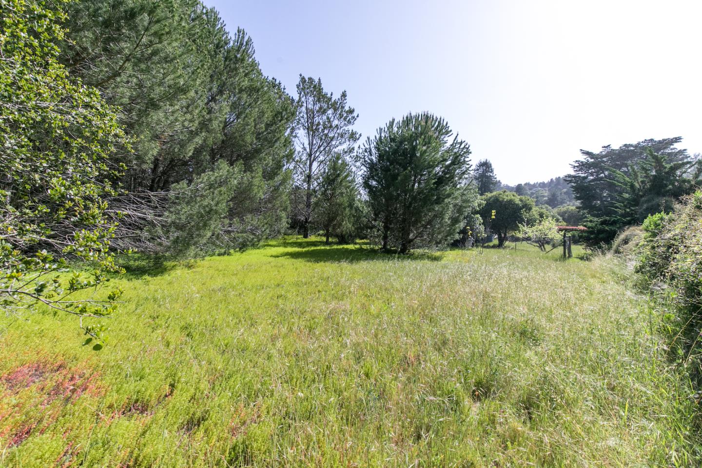 70 Rancho Road Watsonville, CA 95076 - Photo 42 of 51 Gallery Image 42