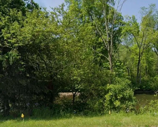 a view of a yard with a tree