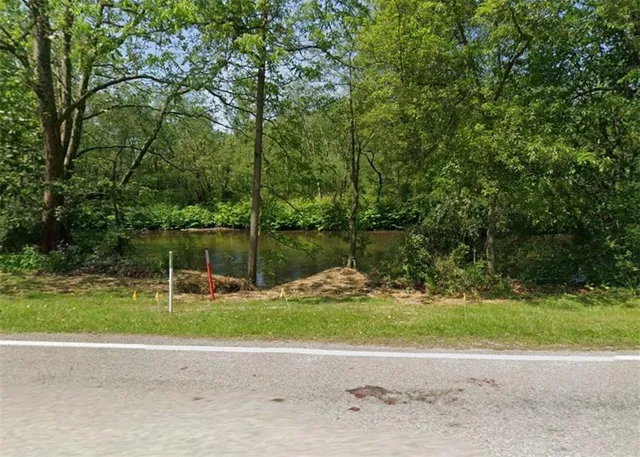 a backyard of a house with lots of green space