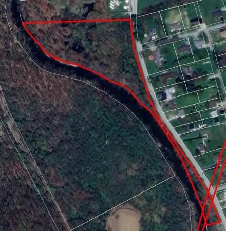 a view of a lake in a forest