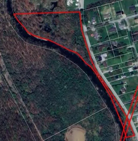 a view of a lake in a forest