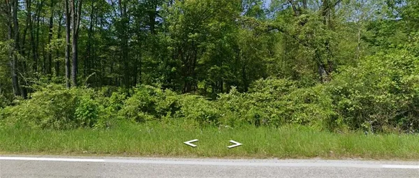 a view of a yard with a plant