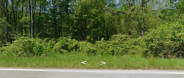 a view of a yard with a plant