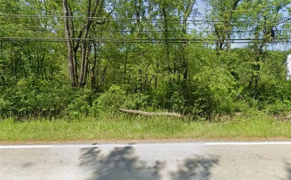 a backyard of a house with plants and large trees