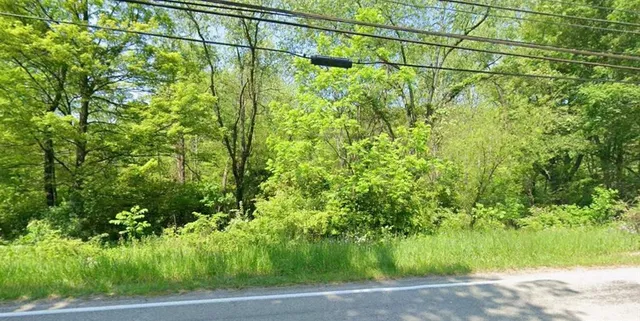 a view of a yard with plants