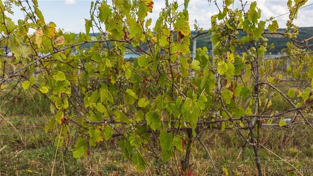 $489,000 | 76 Hammondsport Ny 14840, Hammondsport, NY 14840