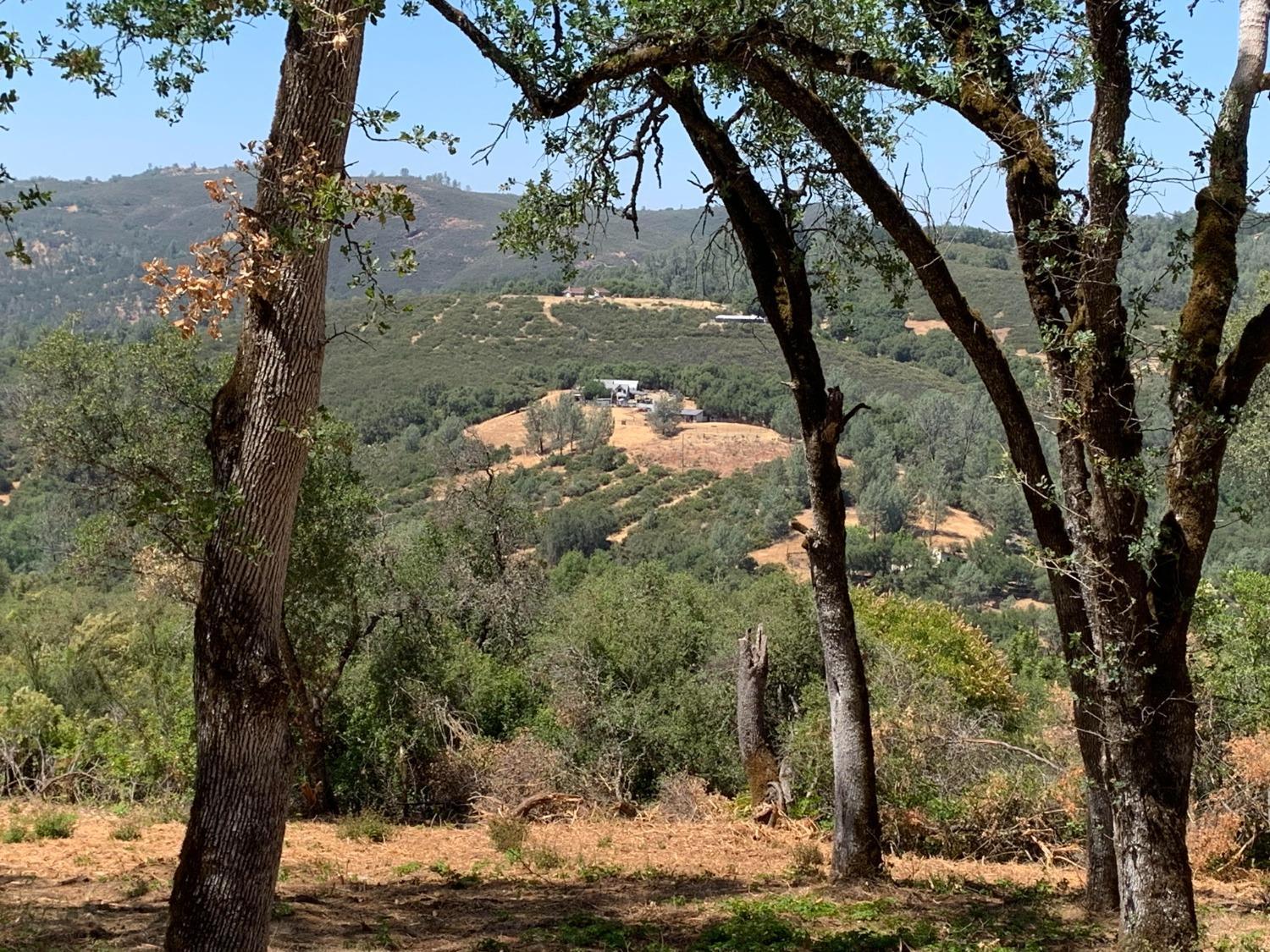 555 Jurgens Road Rescue, CA 95672 - Photo 32 of 38 Gallery Image 32