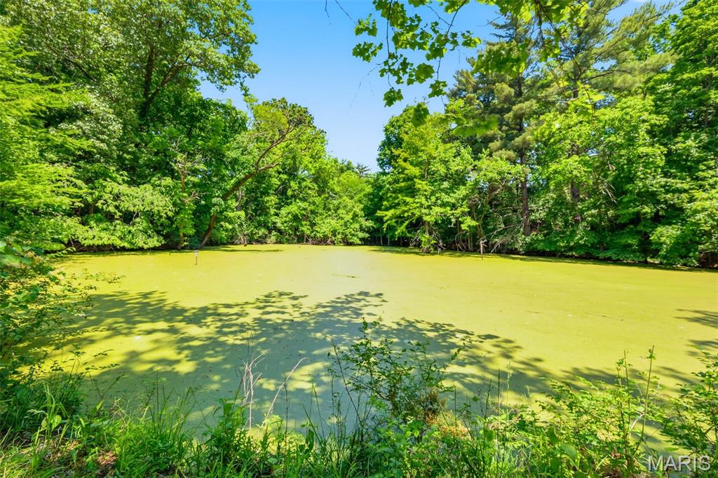 613 Jacobs Station Road St. Charles, MO 63304 - Photo 53 of 58