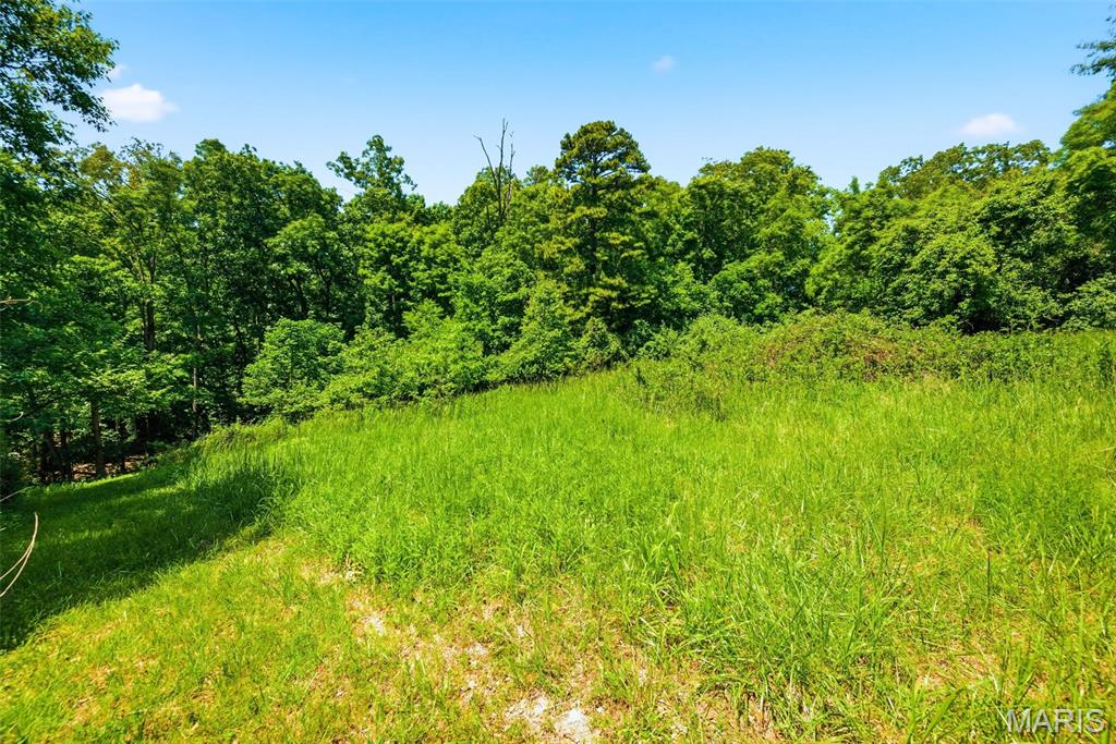 613 Jacobs Station Road St. Charles, MO 63304 - Photo 54 of 58