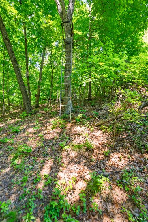 613 Jacobs Station Road St. Charles, MO 63304 - Photo 55 of 58