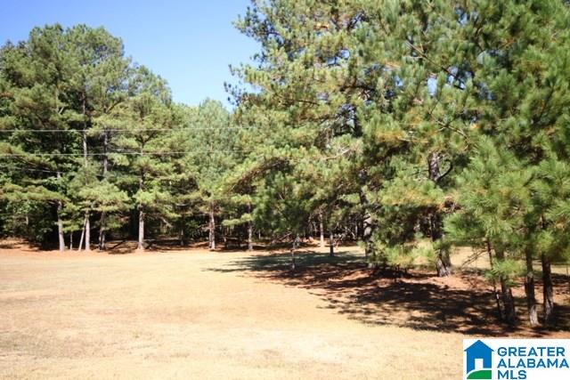 0 County Road 928, Unit 19 Delta, AL 36258 - Photo 8 of 43